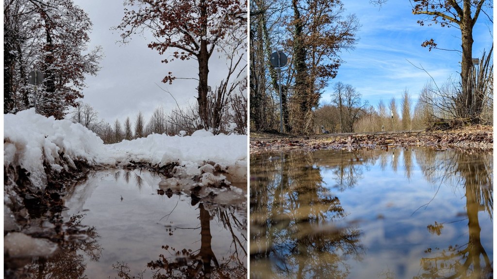 Sabbatical: A Puddle A Day #70