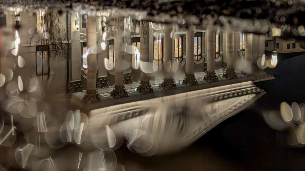 Sabbatical: A Puddle A Day #46