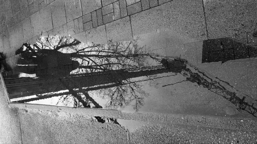 Sabbatical: A Puddle A Day #66