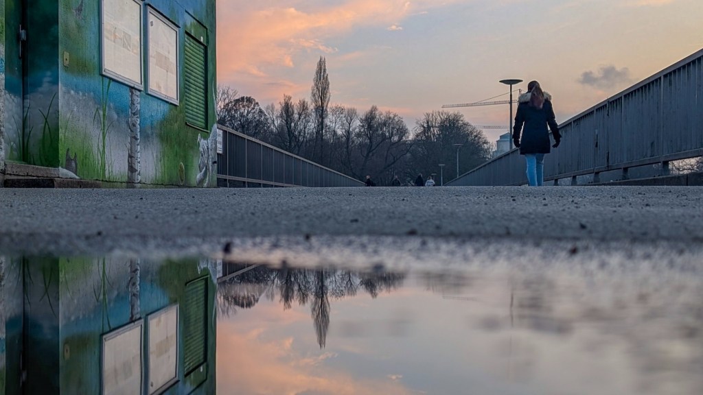 Sabbatical: A Puddle A Day&nbsp;#76