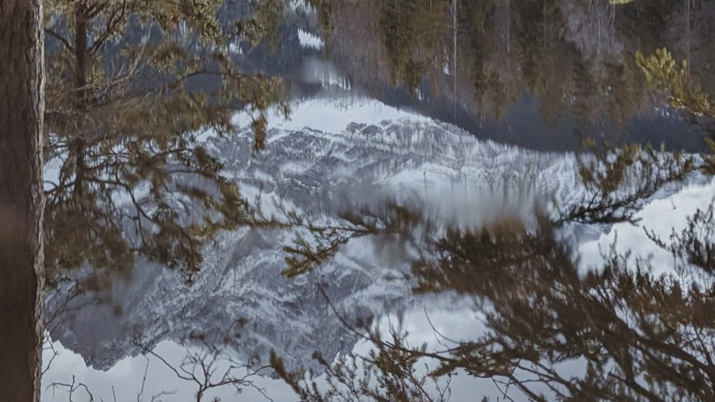 Sabbatical: A Puddle A Day #80