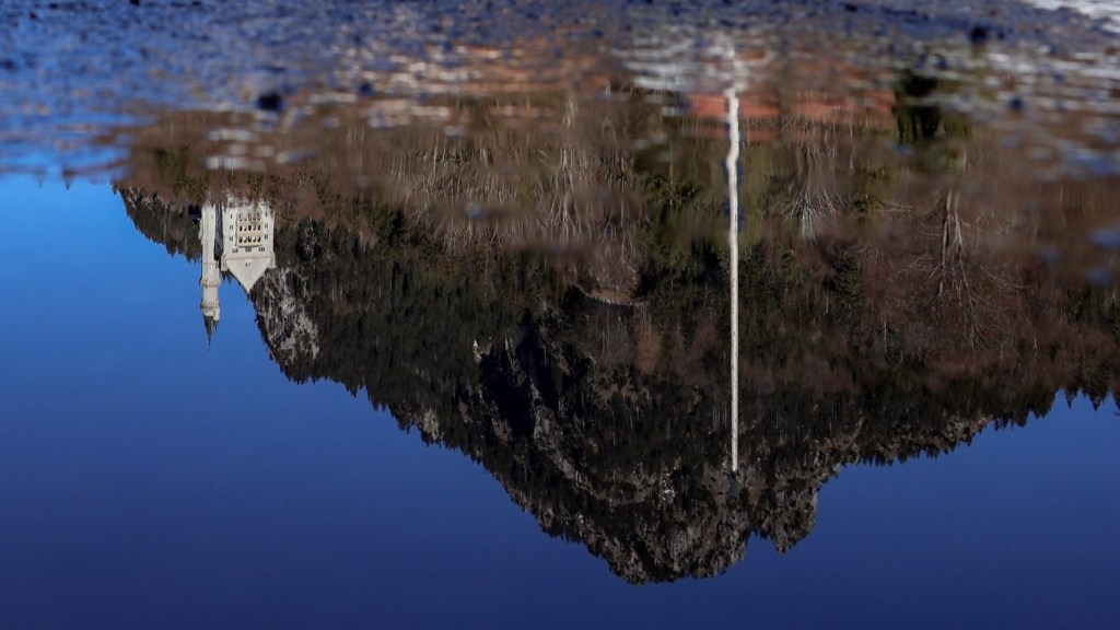 Sabbatical: A Puddle A Day #74