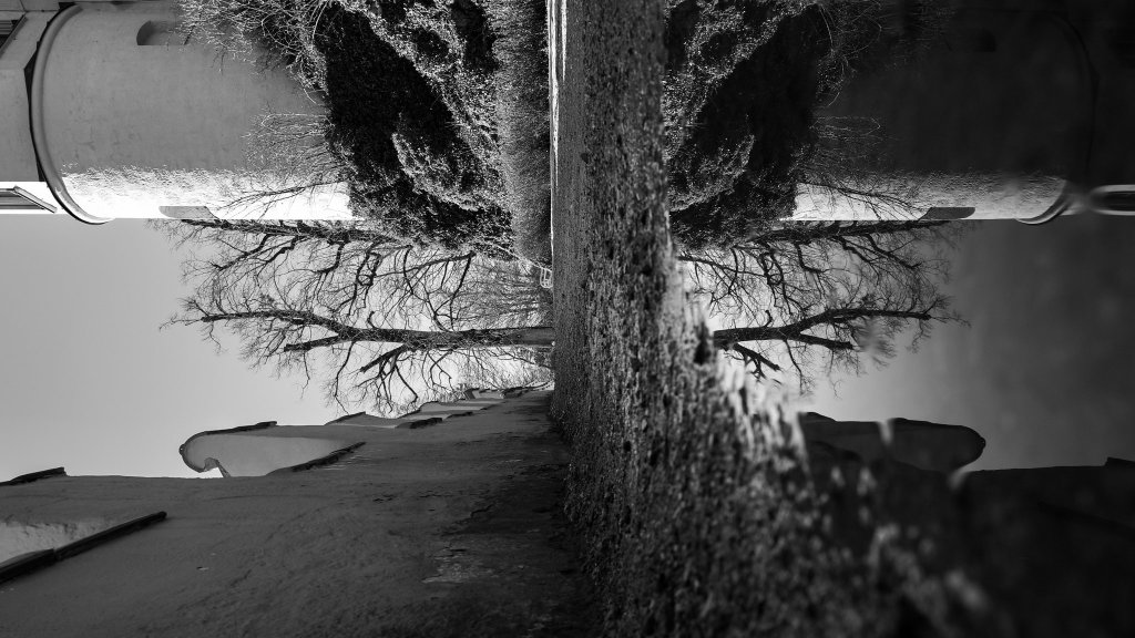 Sabbatical: A Puddle A Day&nbsp;#78