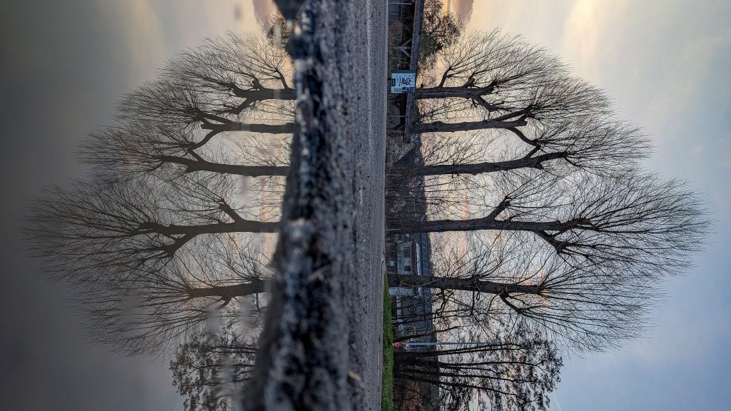 Sabbatical: A Puddle A Day&nbsp;#82