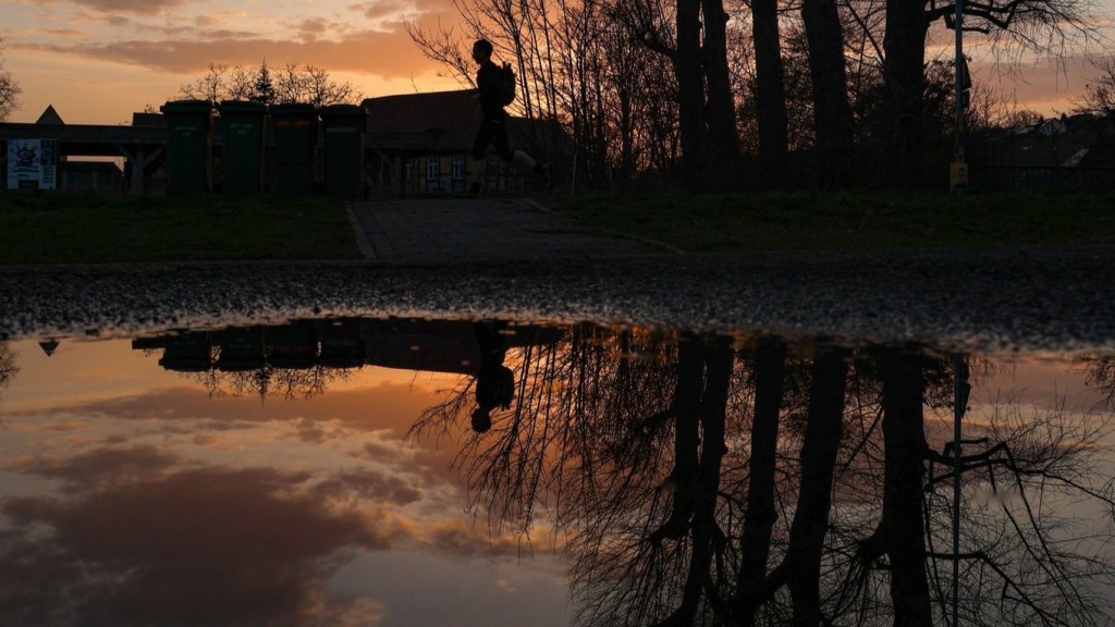 Sabbatical: A Puddle A Day #86