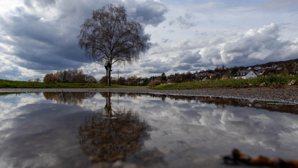 Sabbatical: A Puddle A Day&nbsp;#83