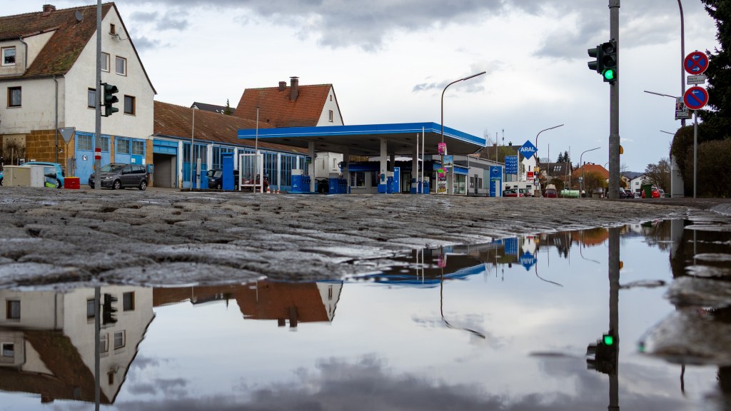 Sabbatical: A Puddle A Day&nbsp;#88