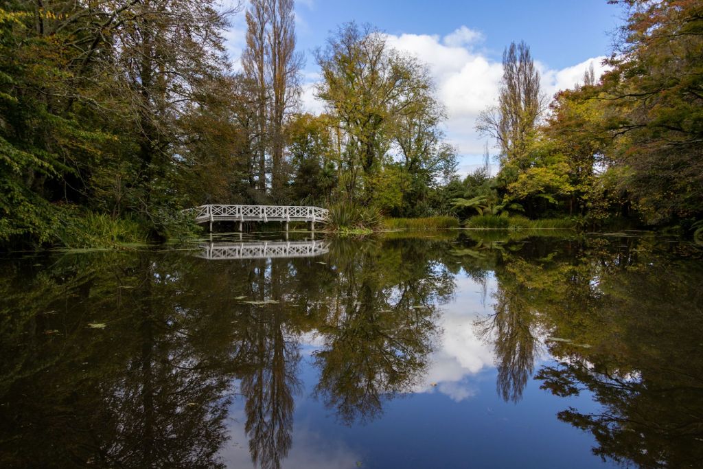 Sabbatical: 7 Weeks A Picture A Day (Day 30: Rivendell &&nbsp;Lothlórien)
