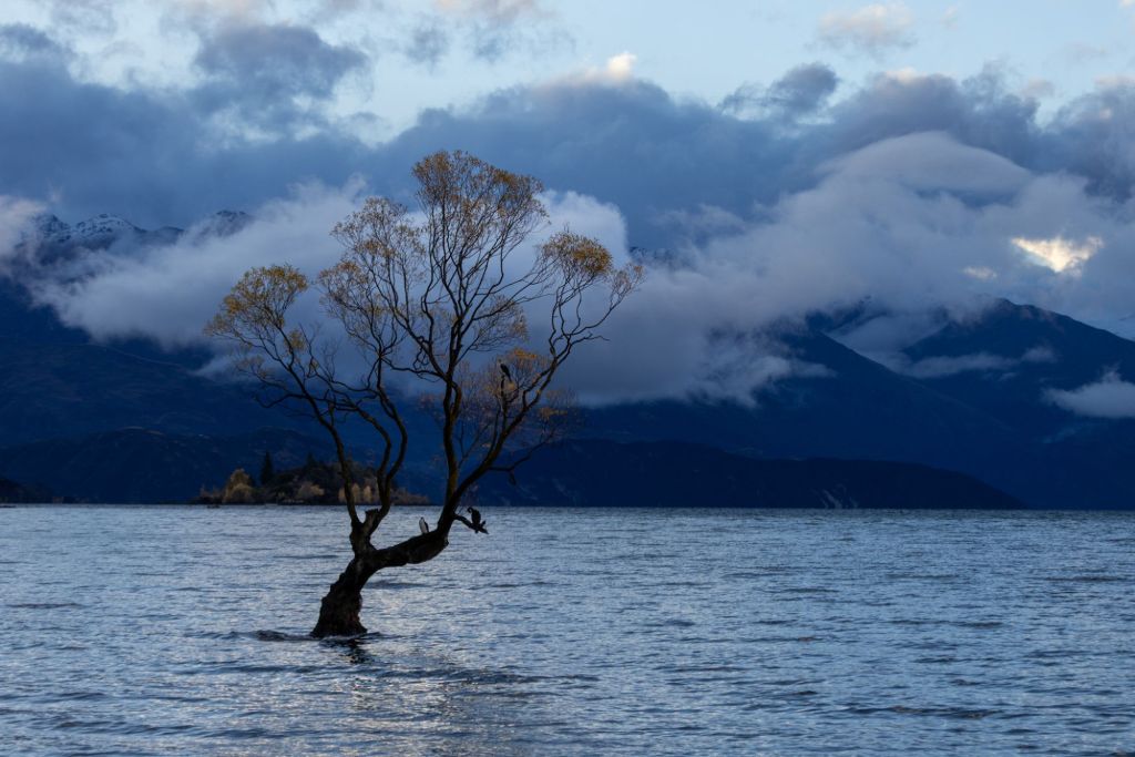 Sabbatical: 7 Weeks A Picture A Day (Day 20: Von Glenorchy über Arrowtown nach&nbsp;Wānaka)