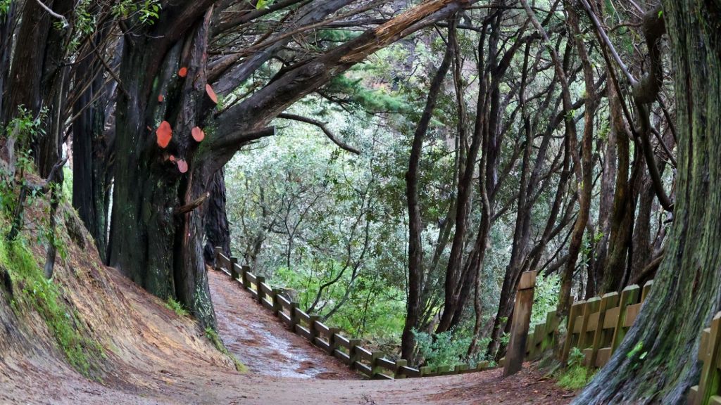 Sabbatical: 7 Weeks A Picture A Day (Day 28: Rainy Middle-earth in&nbsp;Wellington)