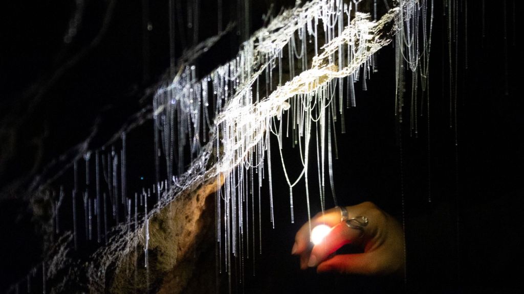 Sabbatical: 7 Weeks A Picture A Day (Day 34: Ruakuri Cave & Waitomo Glowworm&nbsp;Caves)